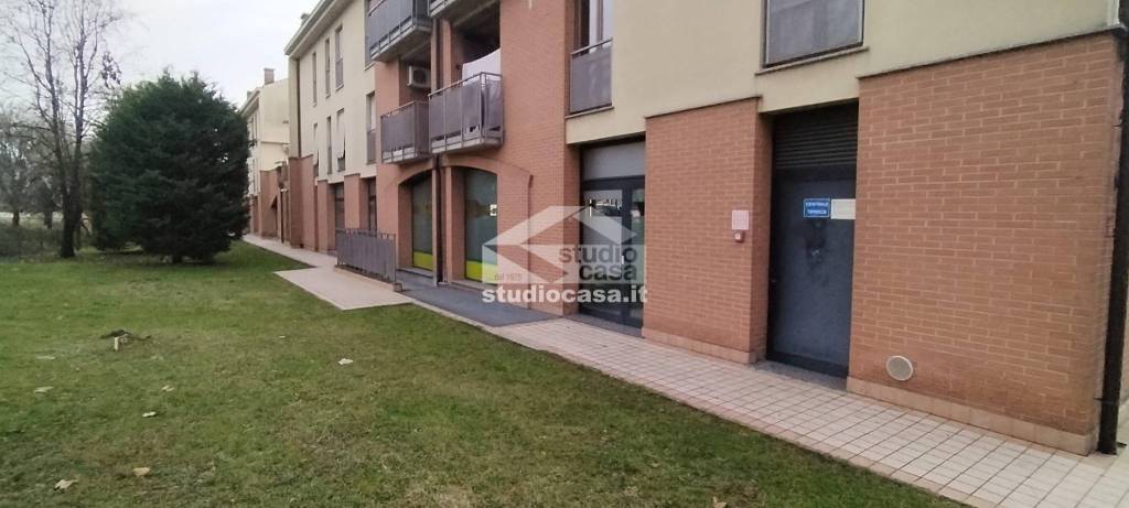 immagine annuncio 2 di 9