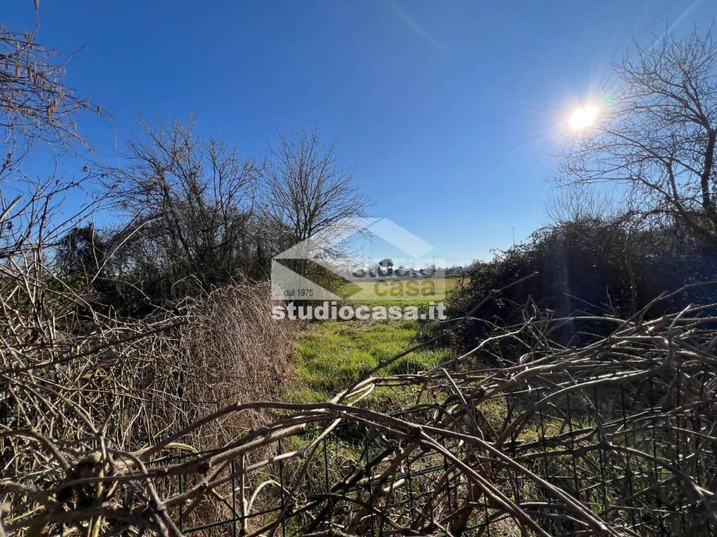 immagine annuncio 7 di 13