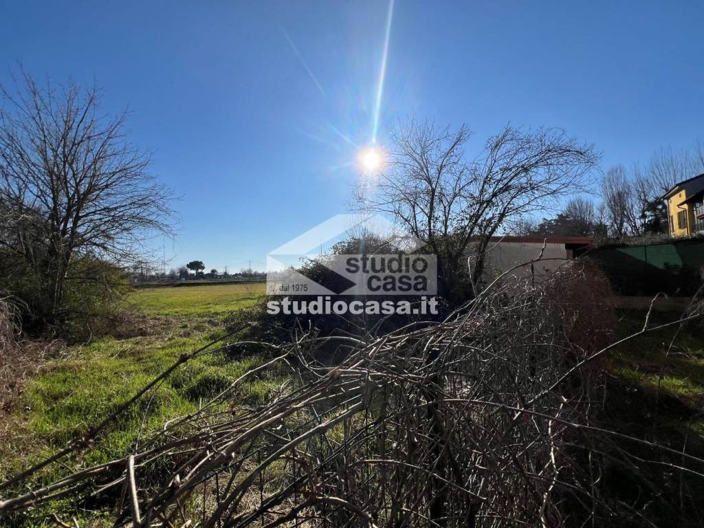 immagine annuncio 8 di 13