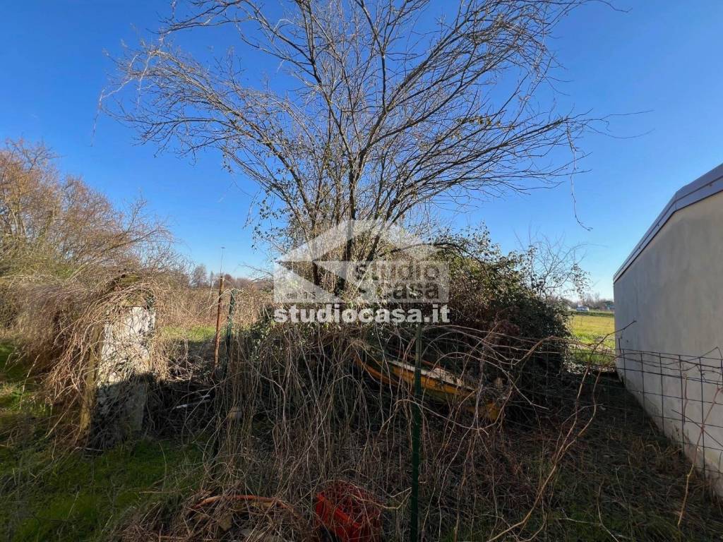 immagine annuncio 9 di 13