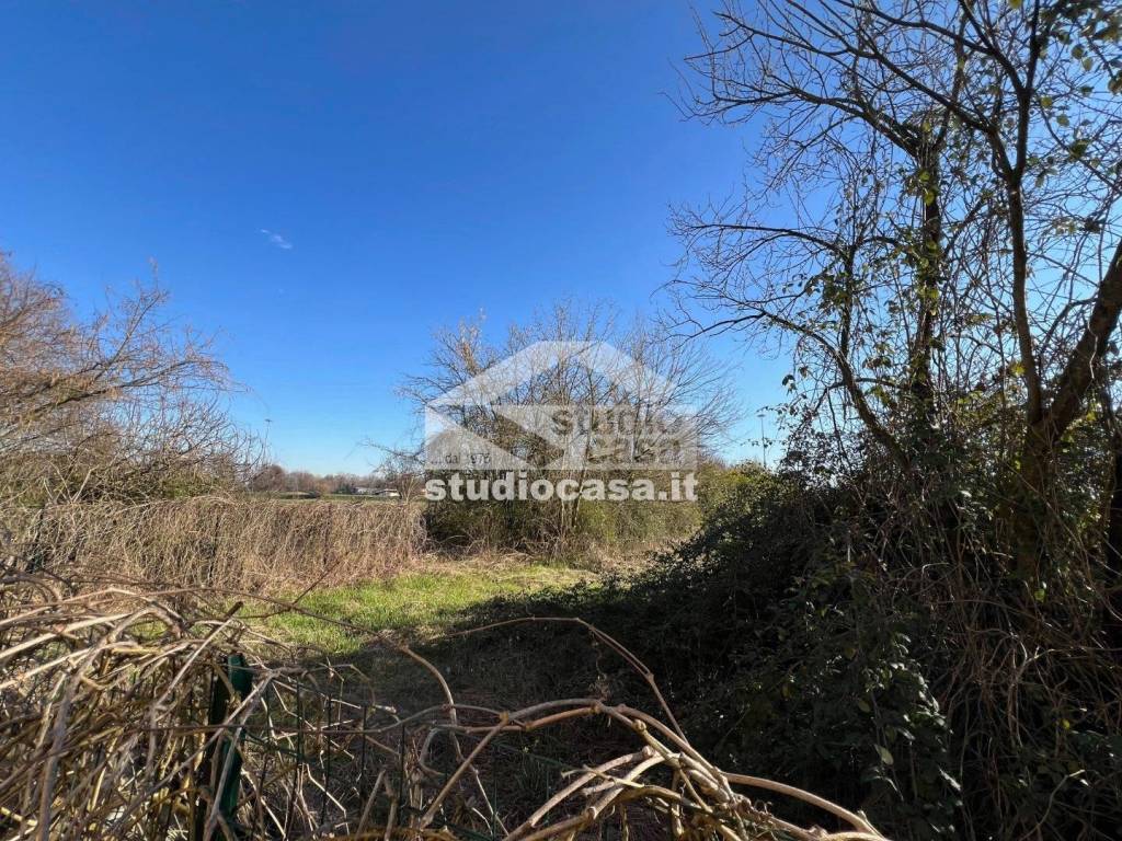 immagine annuncio 10 di 13