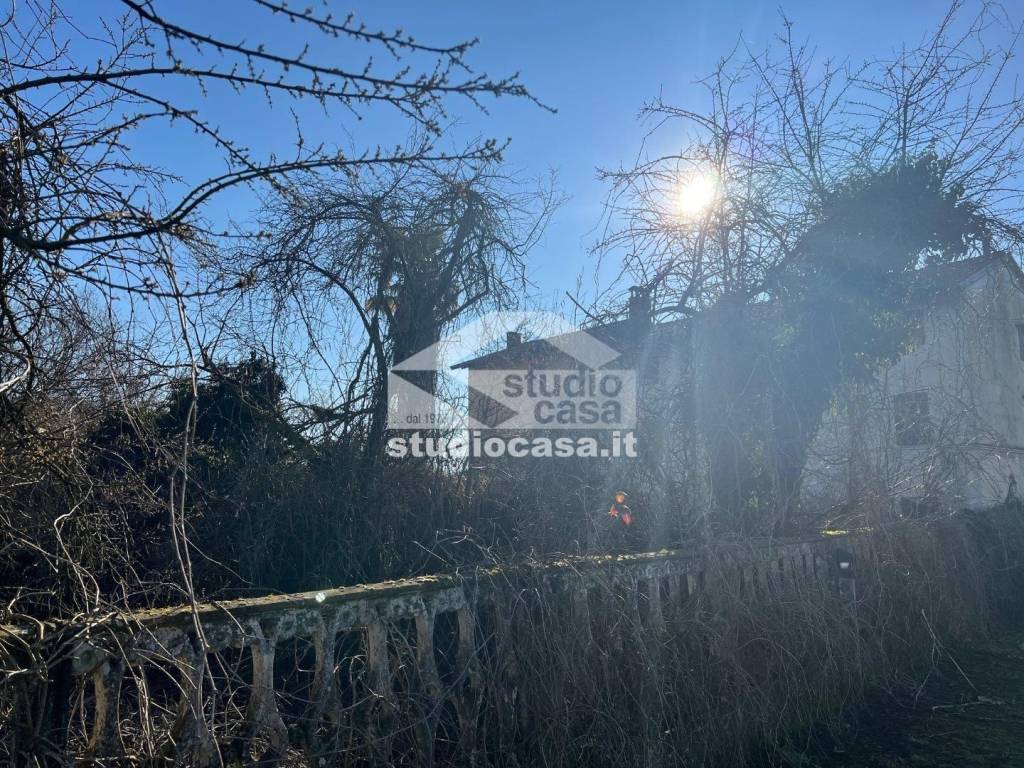 immagine annuncio 12 di 13