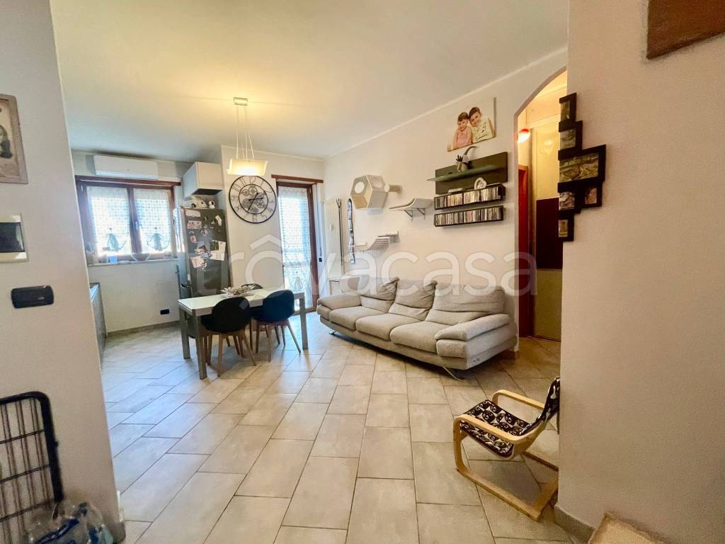 immagine annuncio 9 di 15