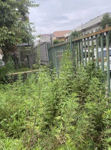 immagine annuncio 2 di 9