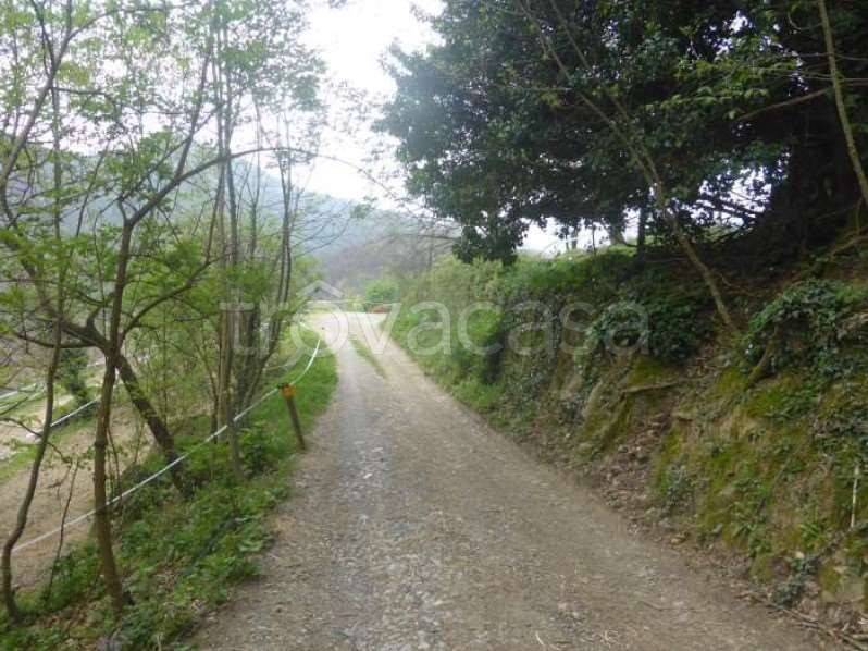 immagine annuncio 4 di 8