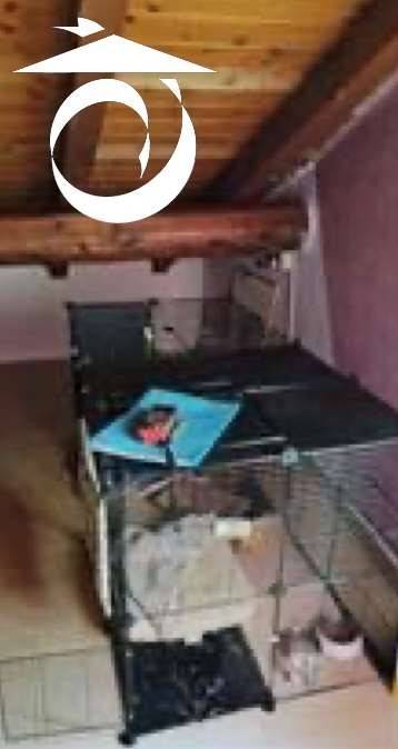 immagine annuncio 8 di 9