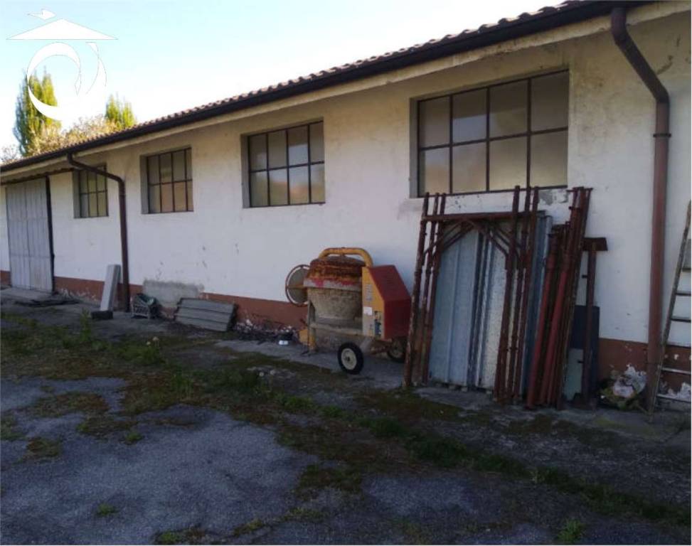 immagine annuncio 4 di 10