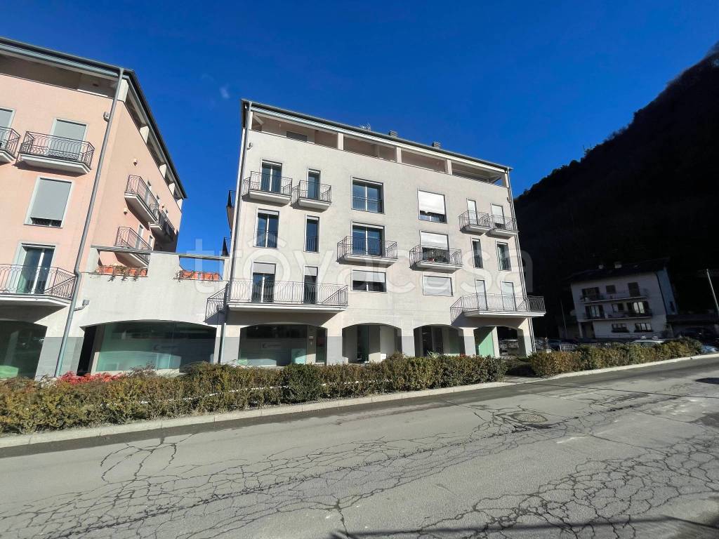 immagine annuncio 2 di 14