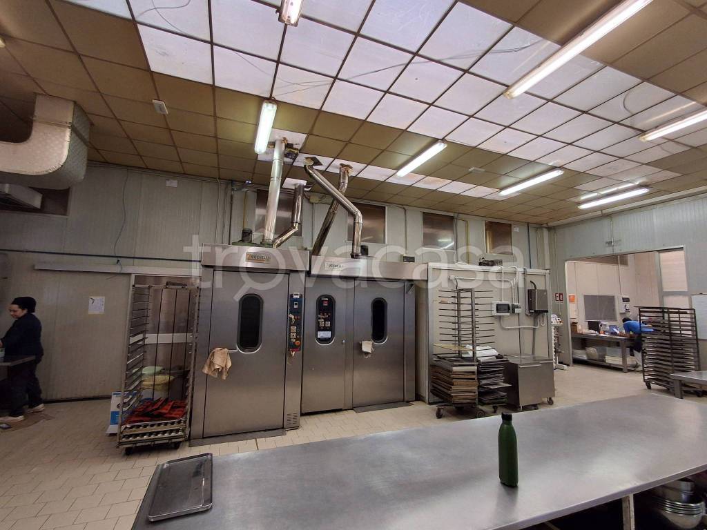 immagine annuncio 3 di 9