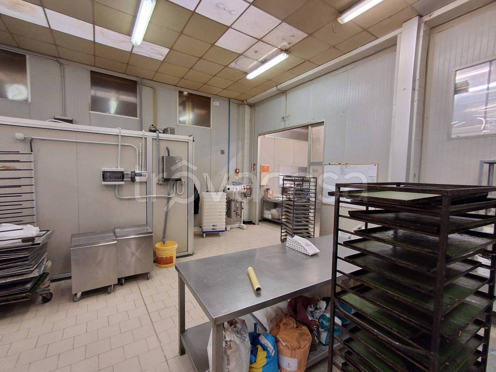 immagine annuncio 4 di 9