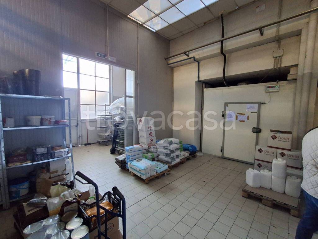 immagine annuncio 6 di 9