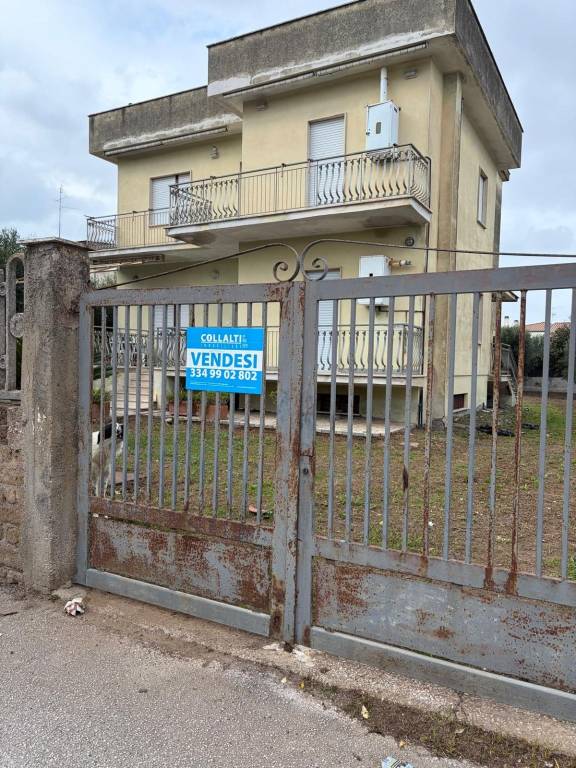 immagine annuncio 14 di 15