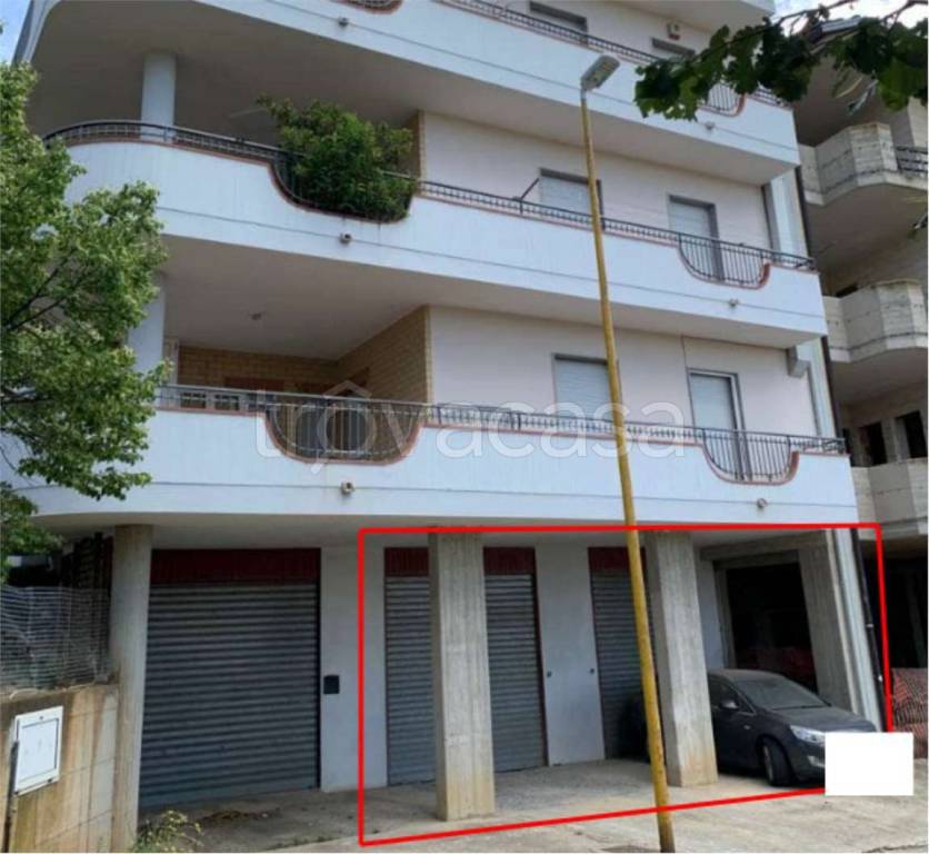 immagine annuncio 2 di 12