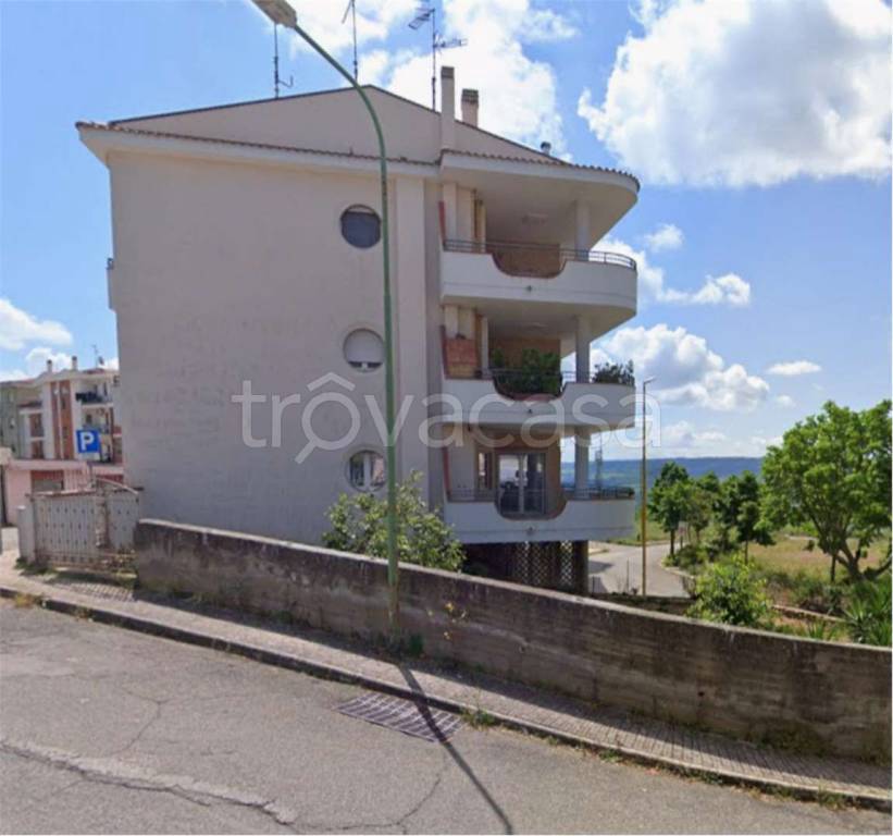 immagine annuncio 7 di 12