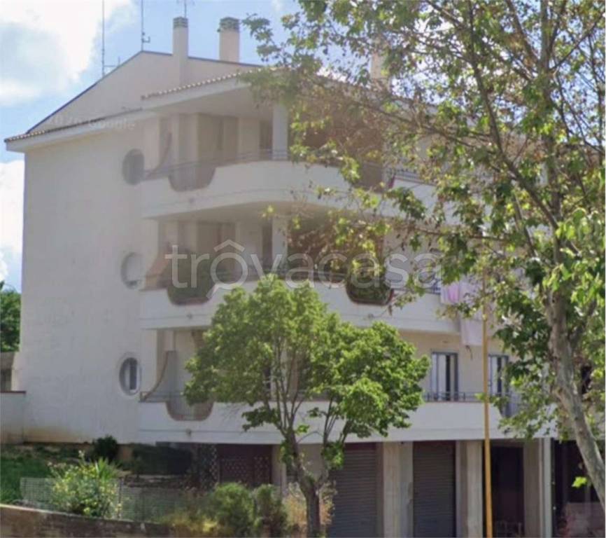 immagine annuncio 9 di 12