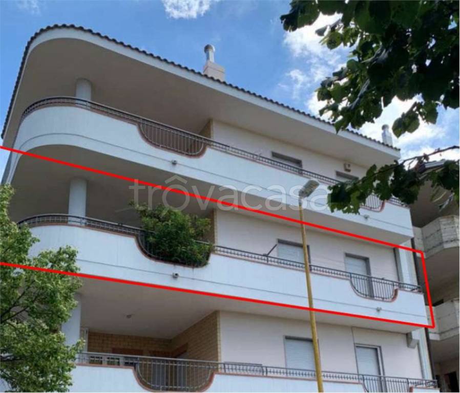 immagine annuncio 11 di 12