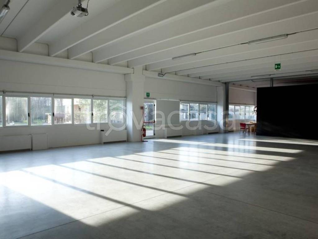 immagine annuncio 3 di 7