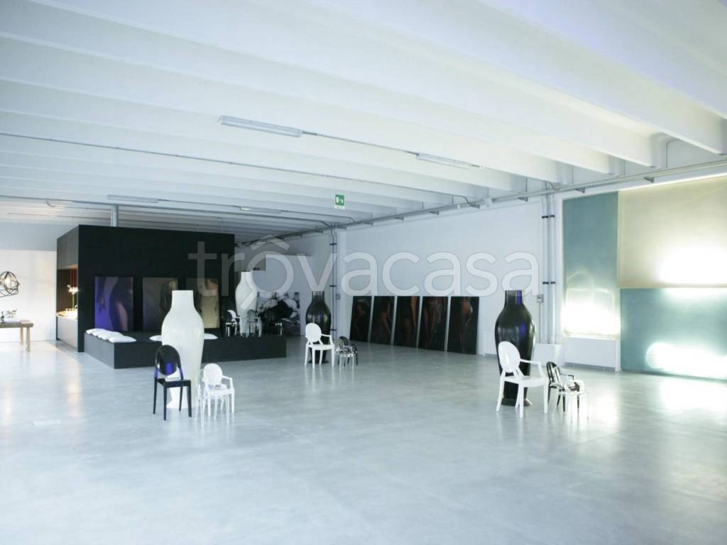 immagine annuncio 4 di 7