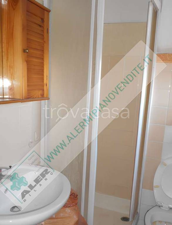 immagine annuncio 7 di 12