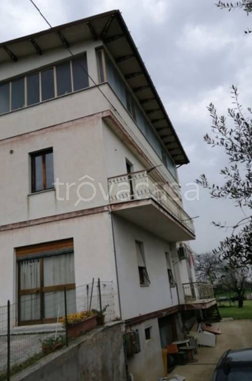 immagine annuncio 6 di 11