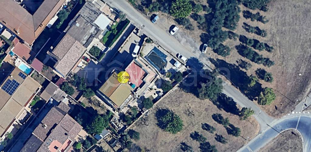 immagine annuncio 11 di 12