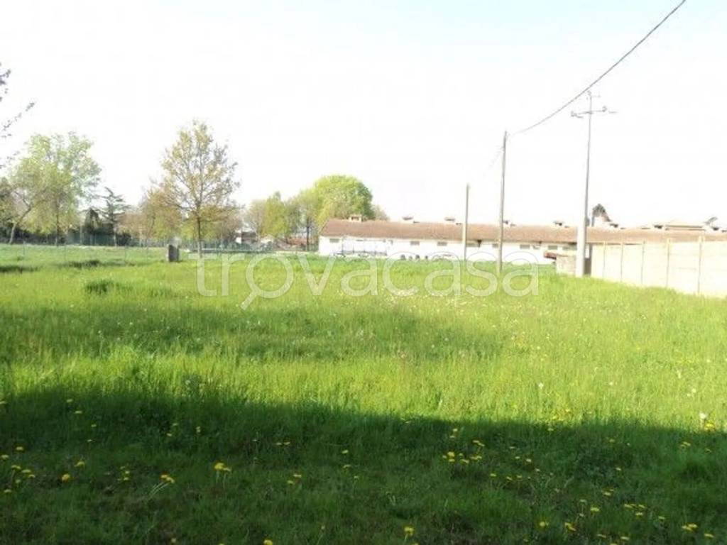 immagine annuncio 5 di 6