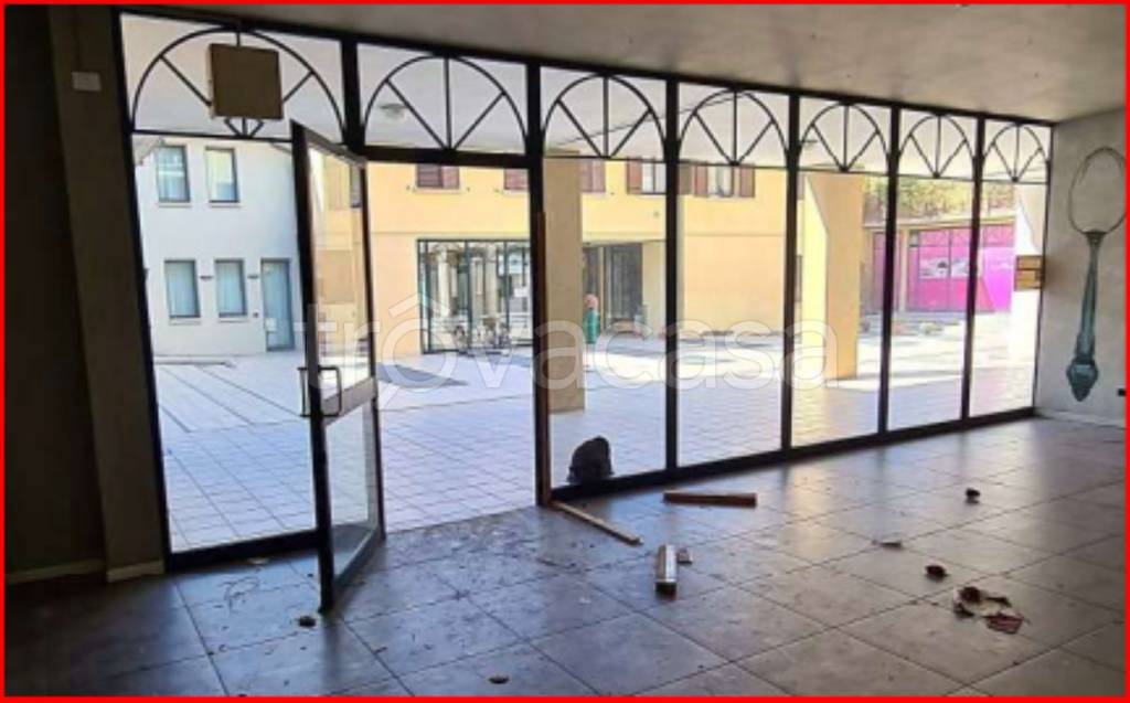 immagine annuncio 6 di 14