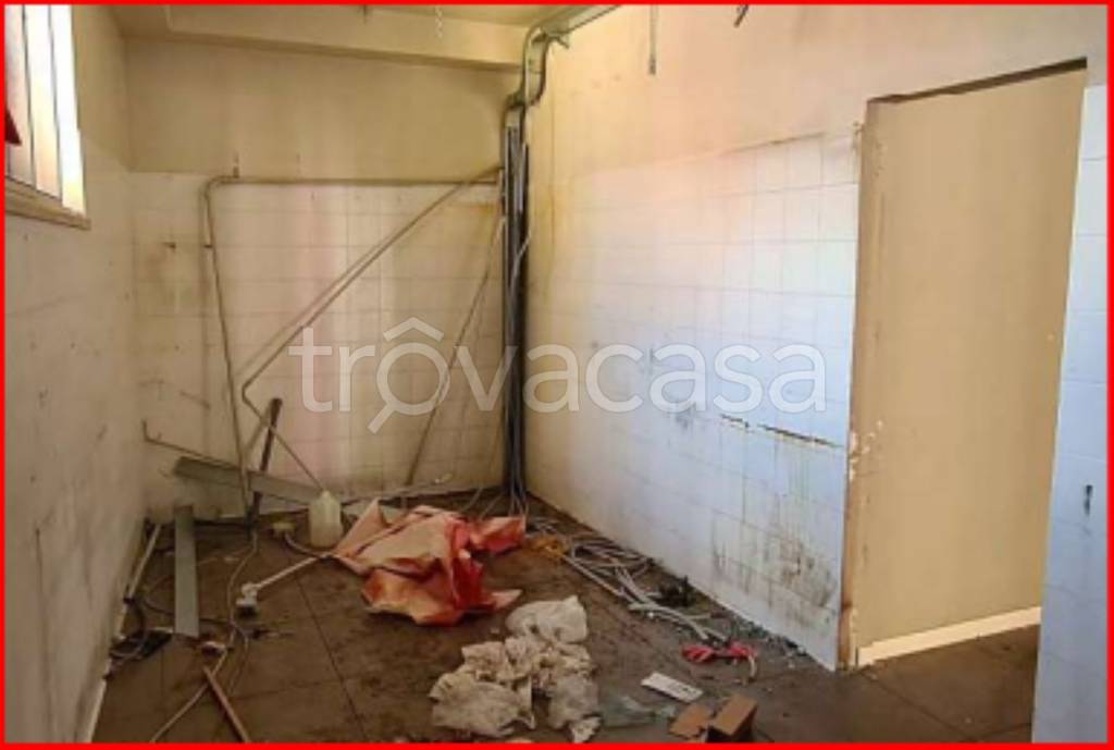 immagine annuncio 7 di 14