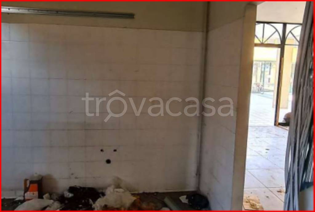 immagine annuncio 8 di 14