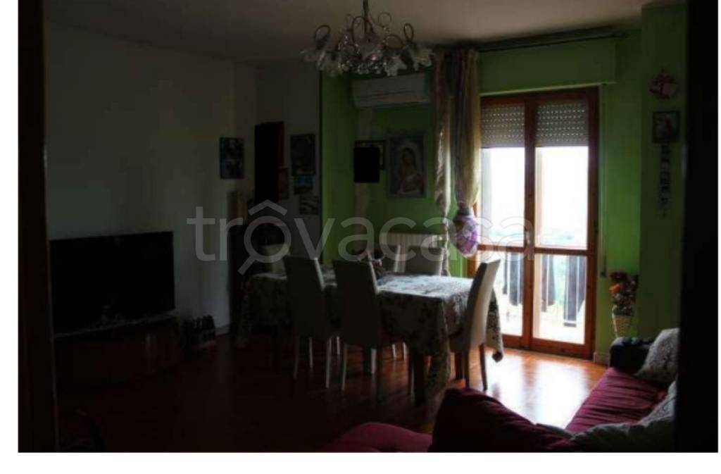 immagine annuncio 5 di 13