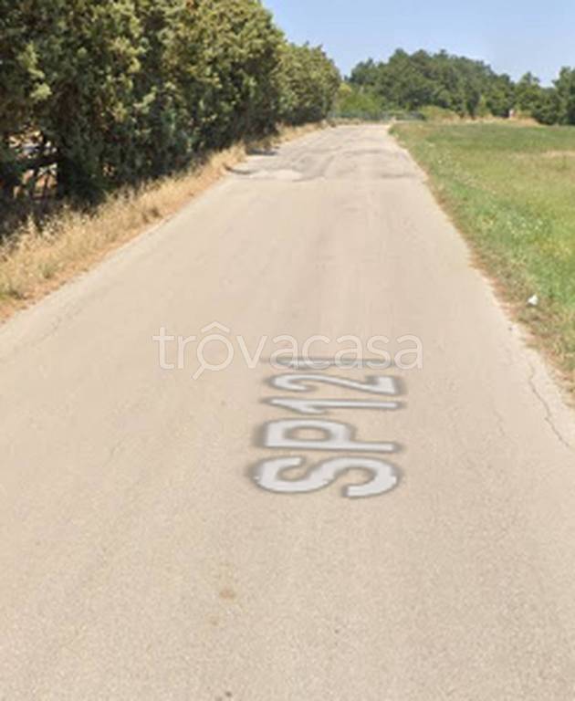 immagine annuncio 8 di 11