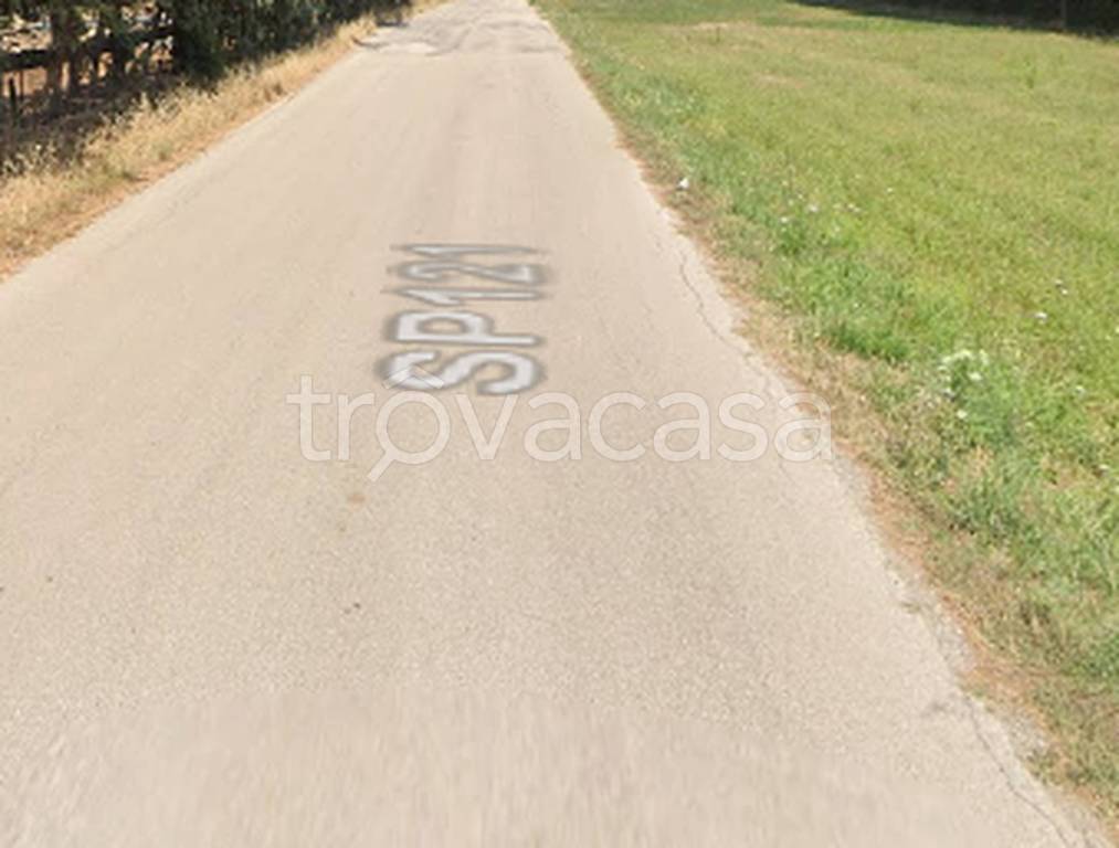 immagine annuncio 9 di 11