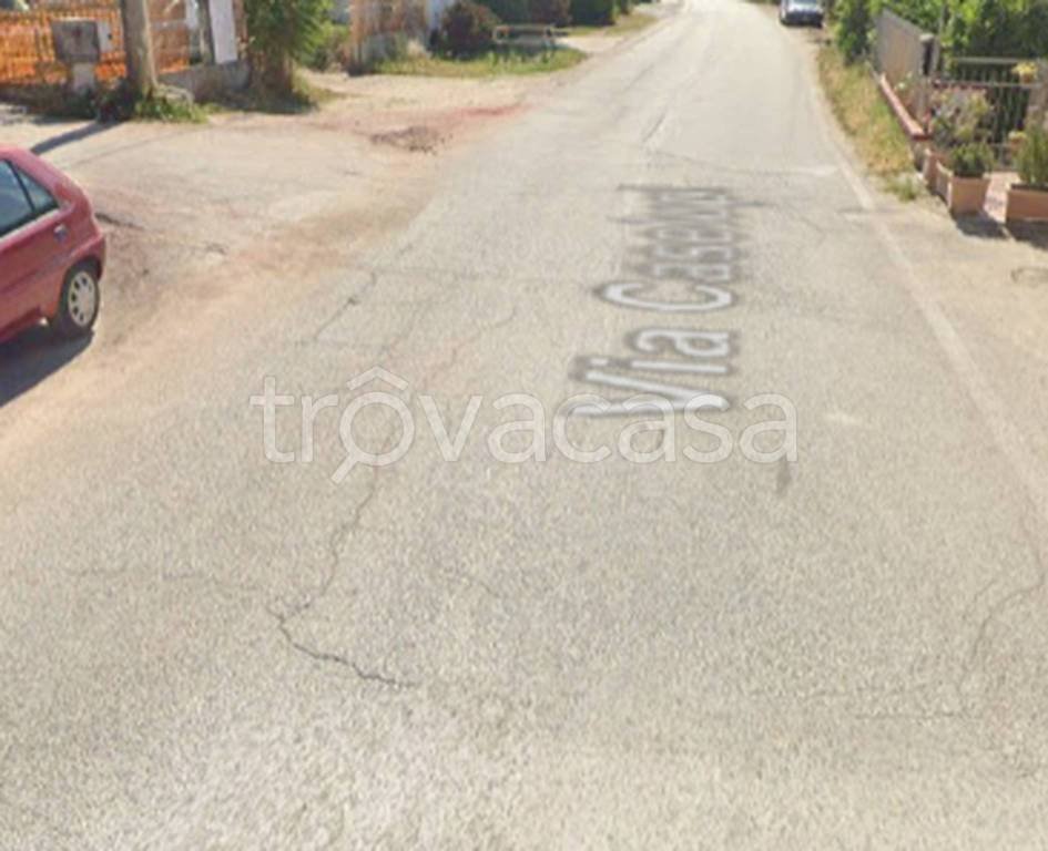 immagine annuncio 5 di 11