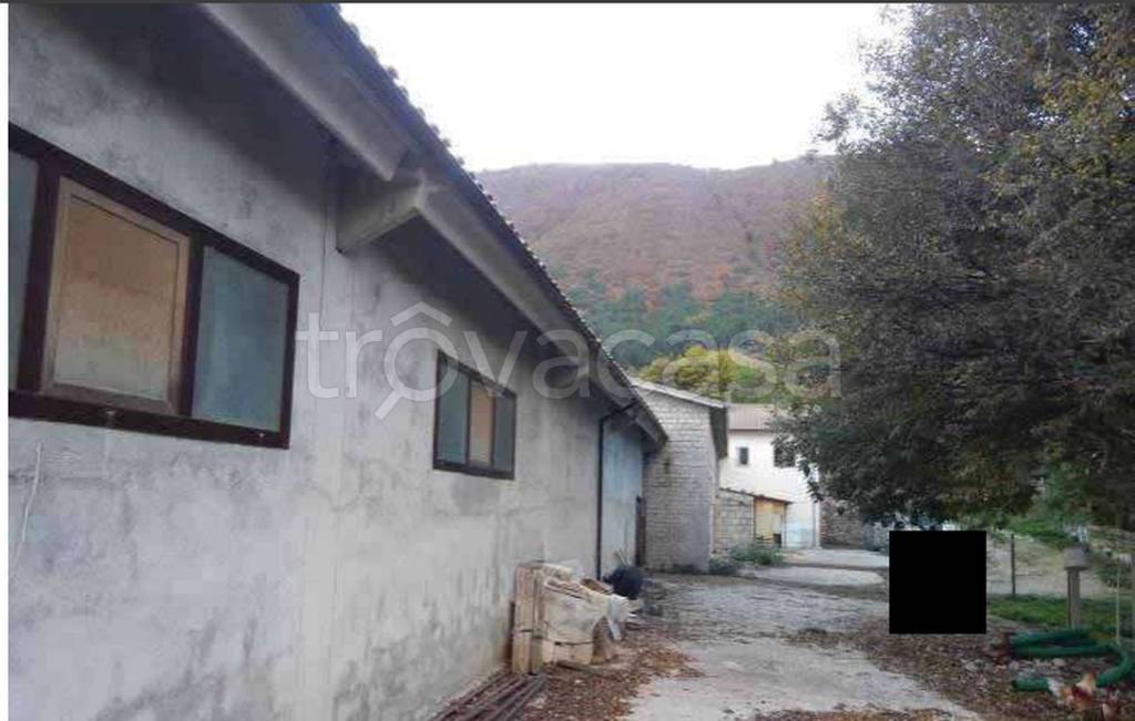 immagine annuncio 2 di 12