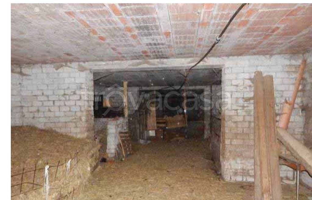 immagine annuncio 6 di 12