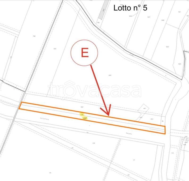 immagine annuncio 3 di 15