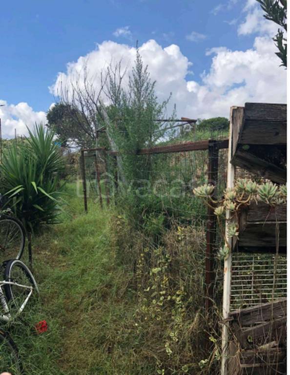 immagine annuncio 5 di 11