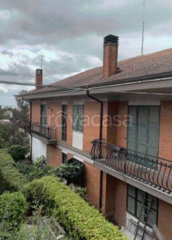 immagine annuncio 4 di 8