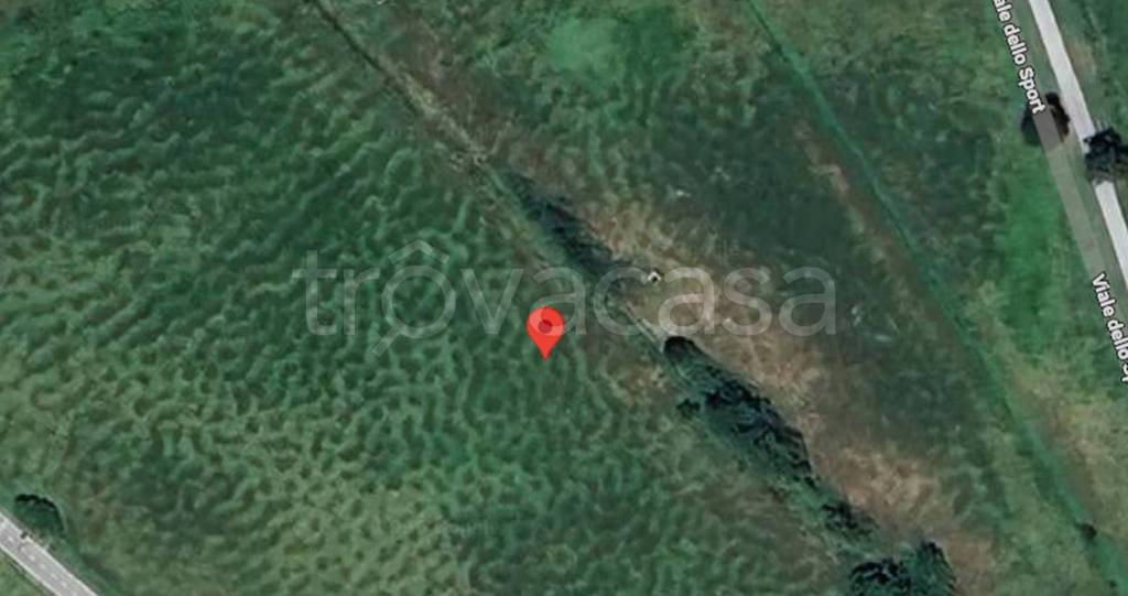 immagine annuncio 4 di 11