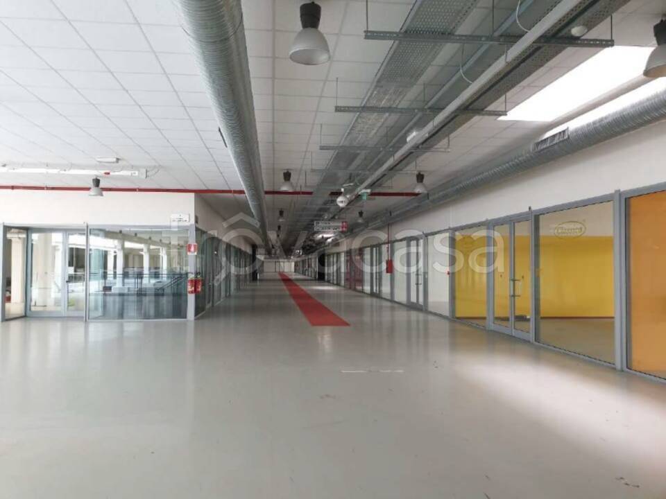 immagine annuncio 9 di 13