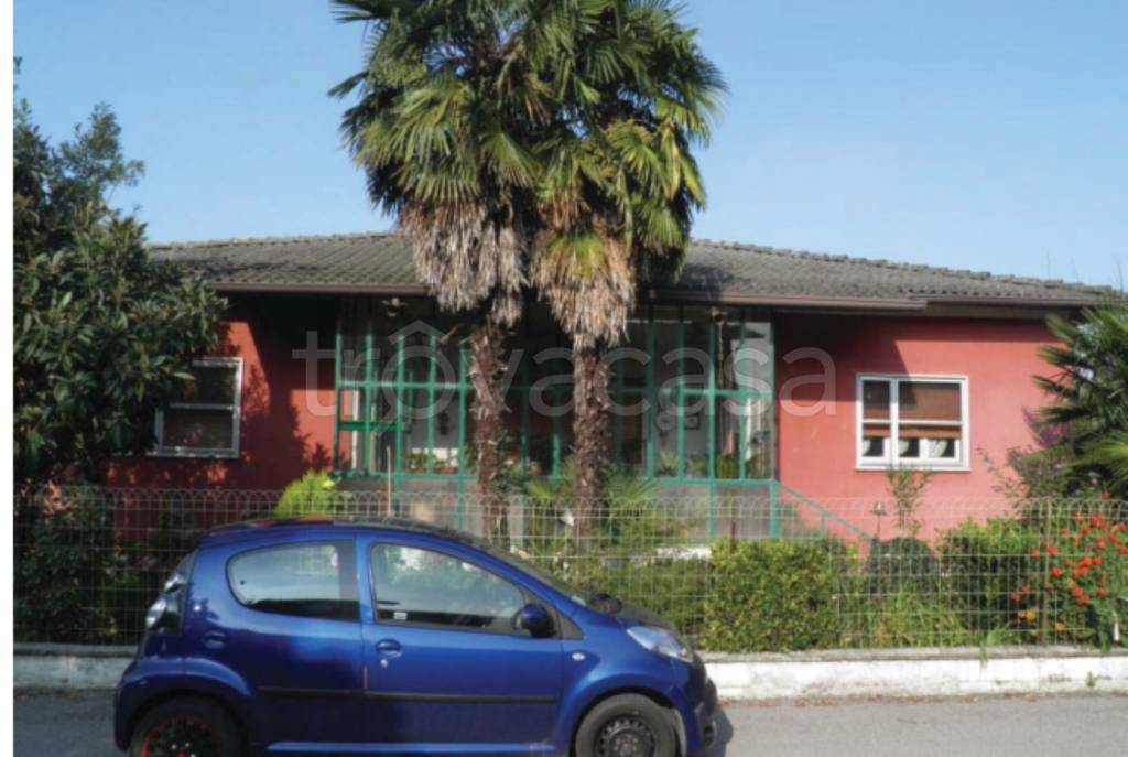 immagine annuncio 9 di 15