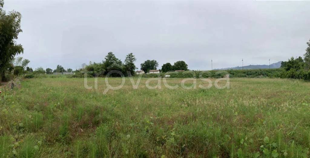 immagine annuncio 1 di 4