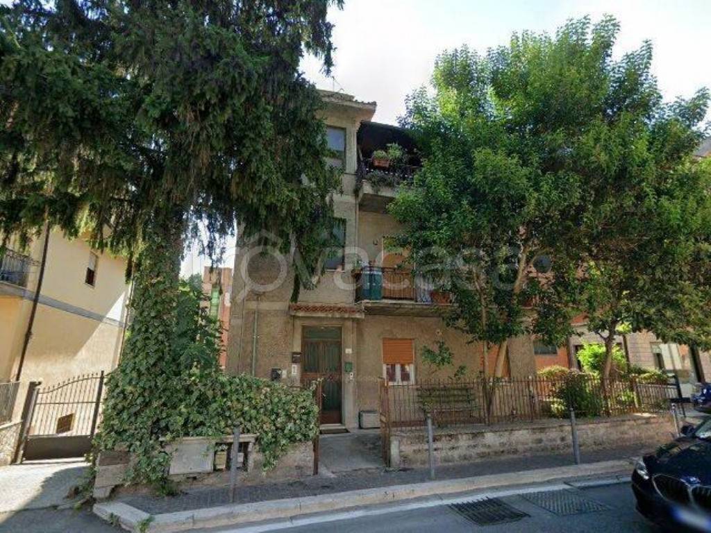 immagine annuncio 12 di 13