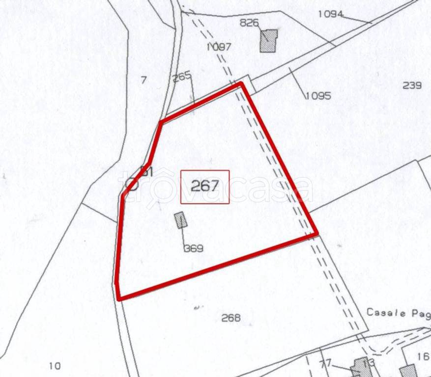 immagine annuncio 6 di 15