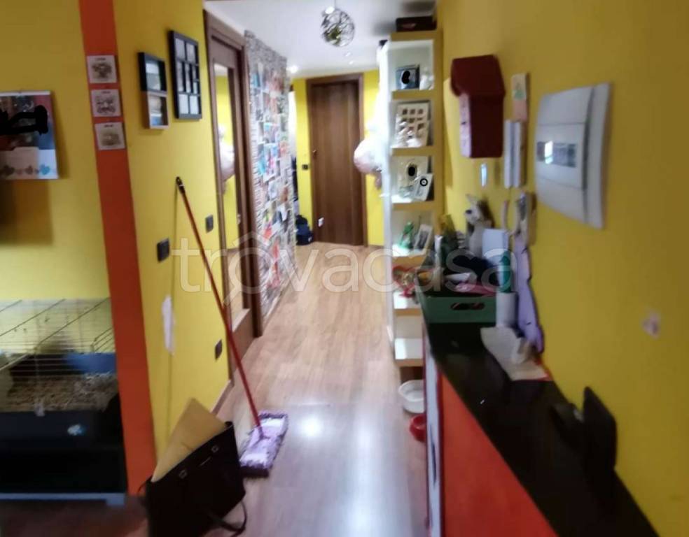 immagine annuncio 4 di 14