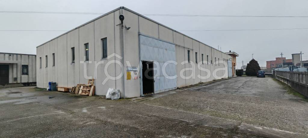 immagine annuncio 3 di 7