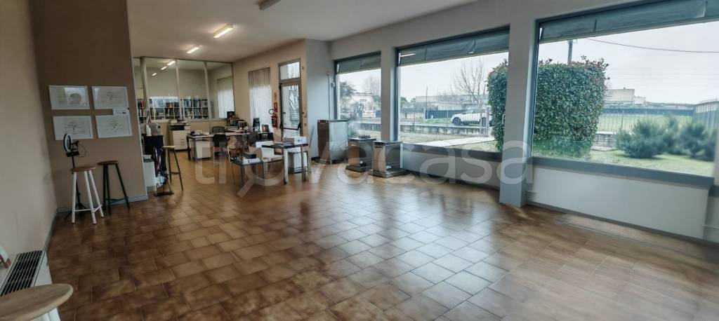 immagine annuncio 5 di 7