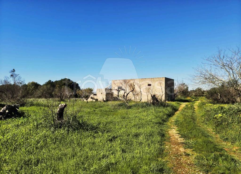 immagine annuncio 3 di 12