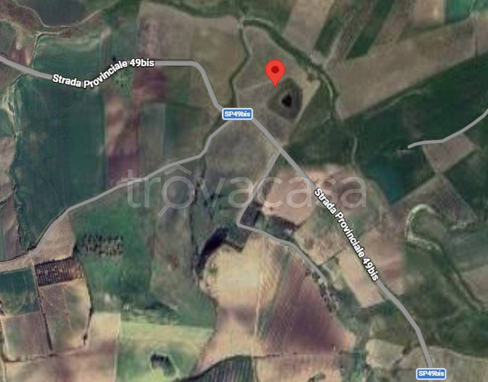 immagine annuncio 3 di 11