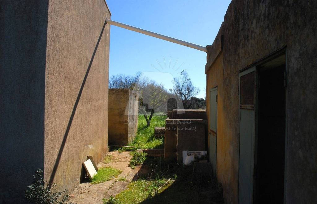 immagine annuncio 7 di 12